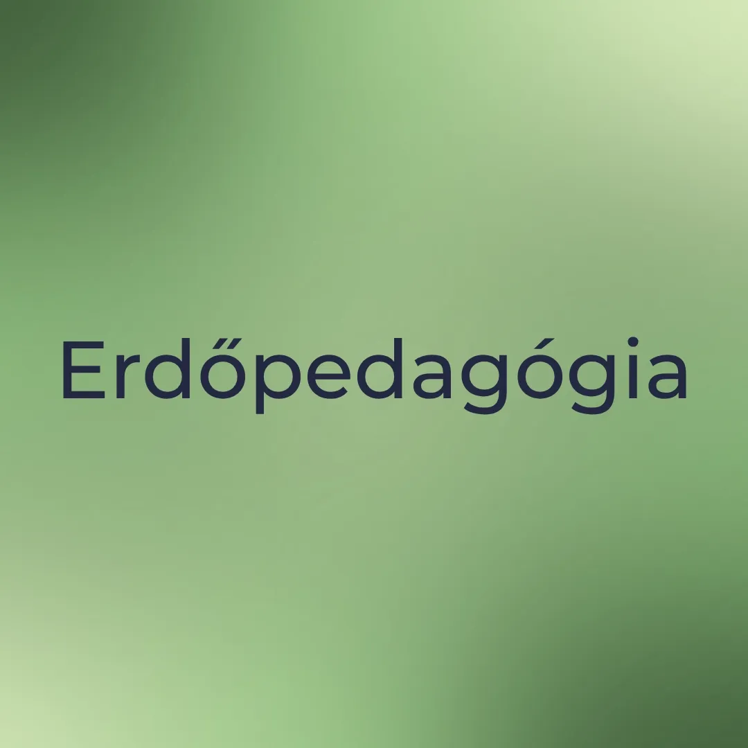 Erdőpedagógia.webp